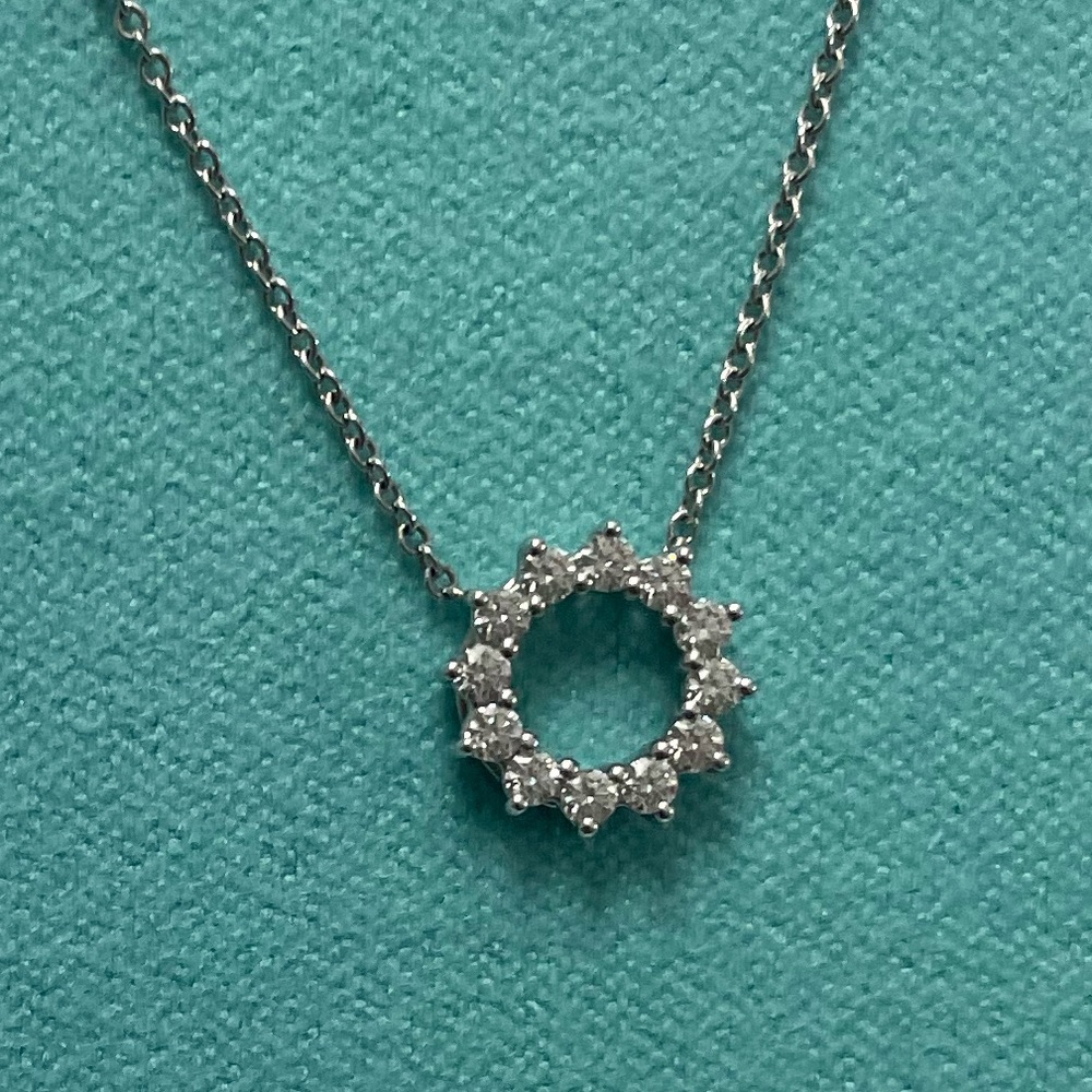 Tiffany & Co. Platinum Open Circle Necklace-Mini